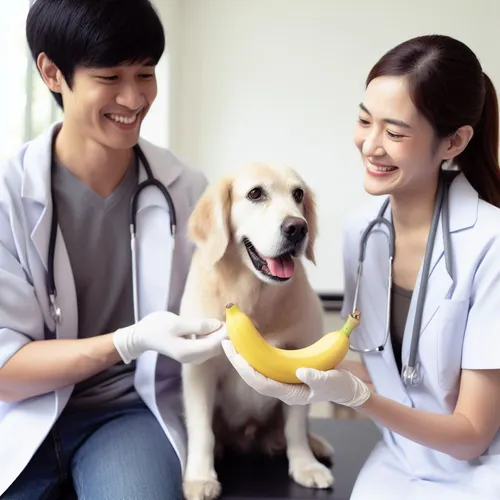 Paws And Peels: Navigating The World Of Dogs And Banana Snacks.